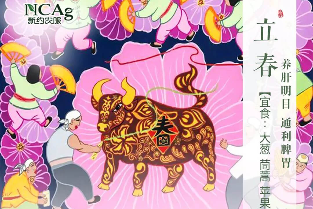 【智·節】立春