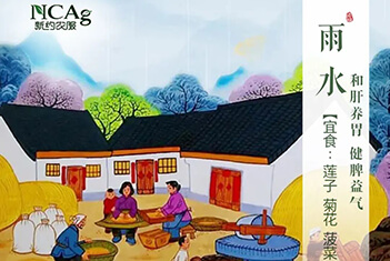 【智·節】雨水
