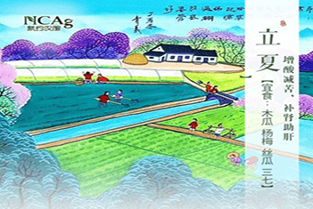 【智·節(jié)】立夏