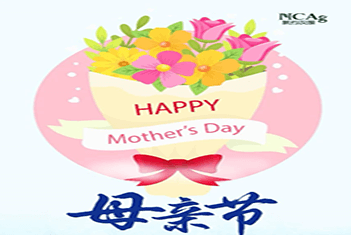 【智·節(jié)】祝天下所有媽媽節(jié)日快樂！