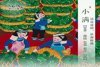 【智·節(jié)】小滿