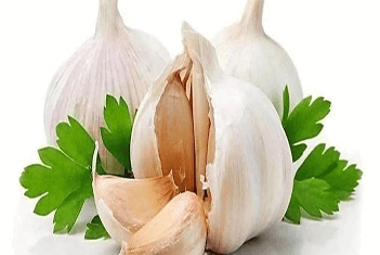 【智·農(nóng)】新約農(nóng)服大蒜CHAS管理方案：不怕大蒜“生悶氣”，“翹小辮”