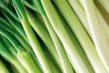 【智·農(nóng)】新約農(nóng)服大蔥CHAS健康管理方案：助力大蔥“病”削“蔥”贏！