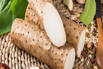 【智·農】新約農服山藥CHAS管理方案：讓“小人參”名副其實！