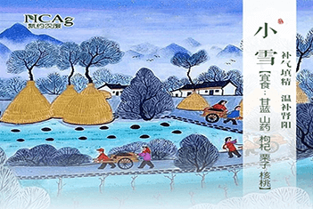 【智·節】小雪