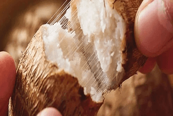 【智·農】新約農服芋頭CHAS管理方案：預防長勢弱，芋頭更飽滿