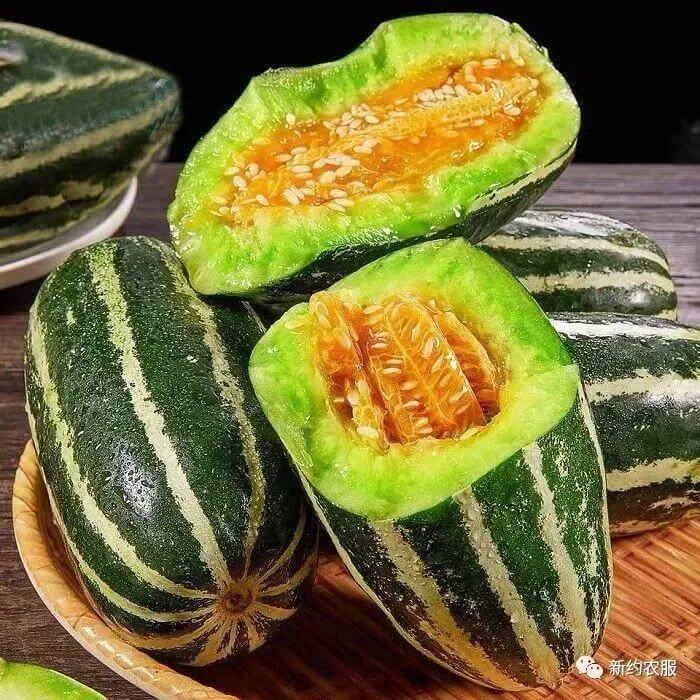 【智·農】新約農服甜瓜CHAS健康管理方案：構建甜瓜豐產株型