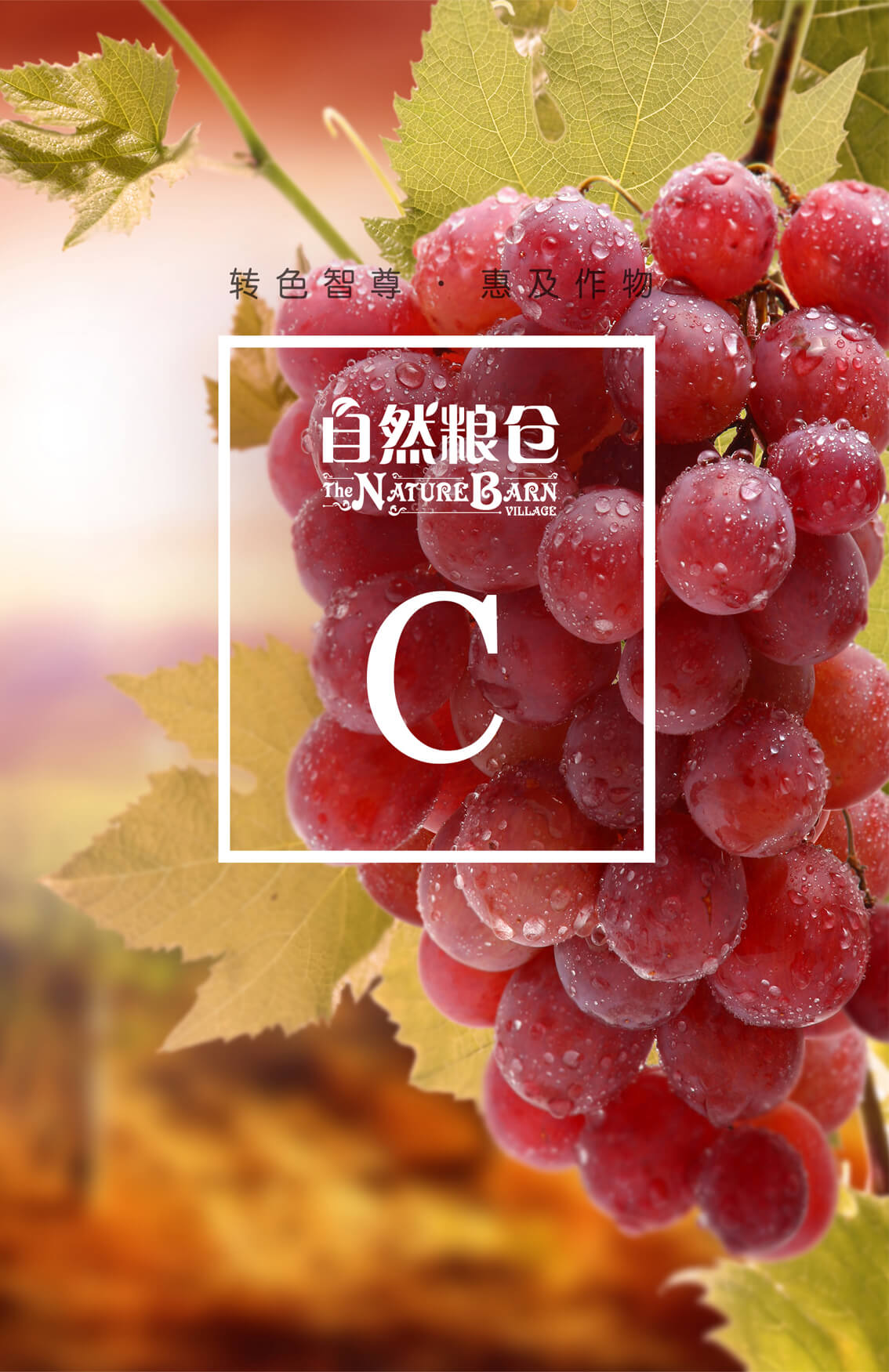 自然糧倉 C系列