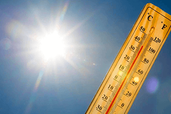 高溫天氣--天氣變化與種植注意事項(xiàng)