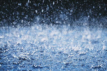 大雨措施--天氣變化與種植注意事項(xiàng)