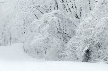 大雪天氣--天氣變化與種植注意事項