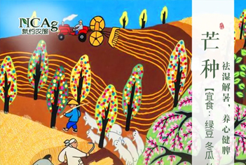 【智·節】芒種