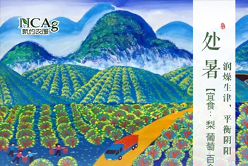 【智·節】處暑