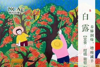 【智·節】白露