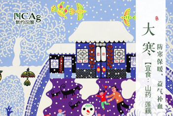 【智·節(jié)】大寒