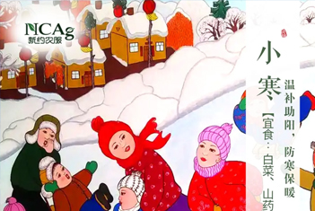 【智·節(jié)】小寒