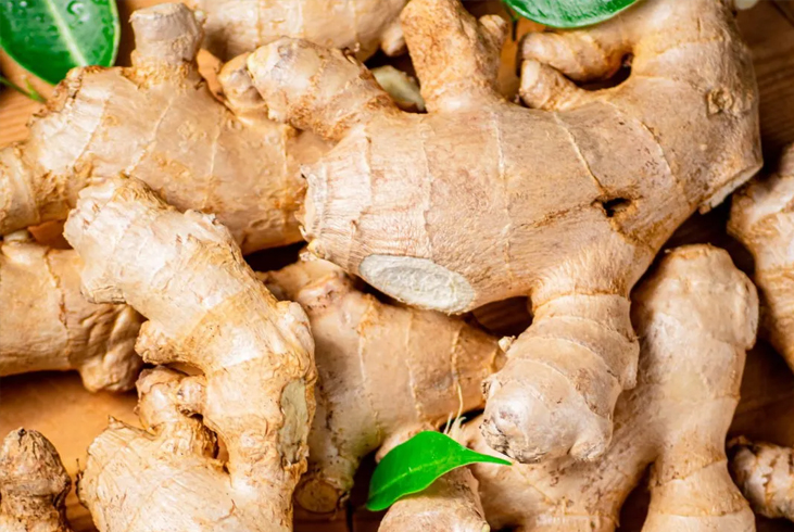 【智·農】大姜CHAS方案—大姜遇新約，莖粗葉茂姜滿堆