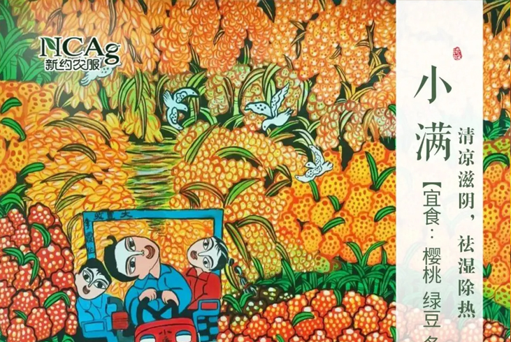 【智·節(jié)】小滿