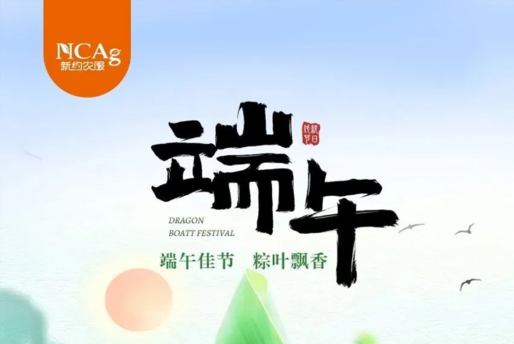 【智·節】端午安康