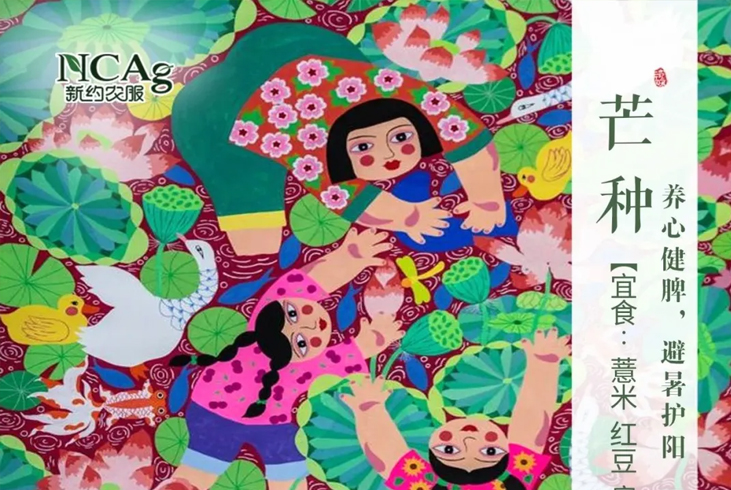 【智·節(jié)】芒種