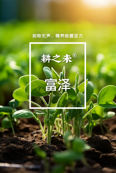 耕之未 富澤系列