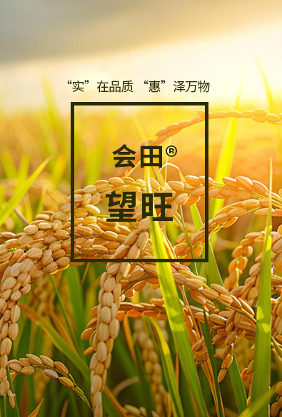 會田? 望旺系列