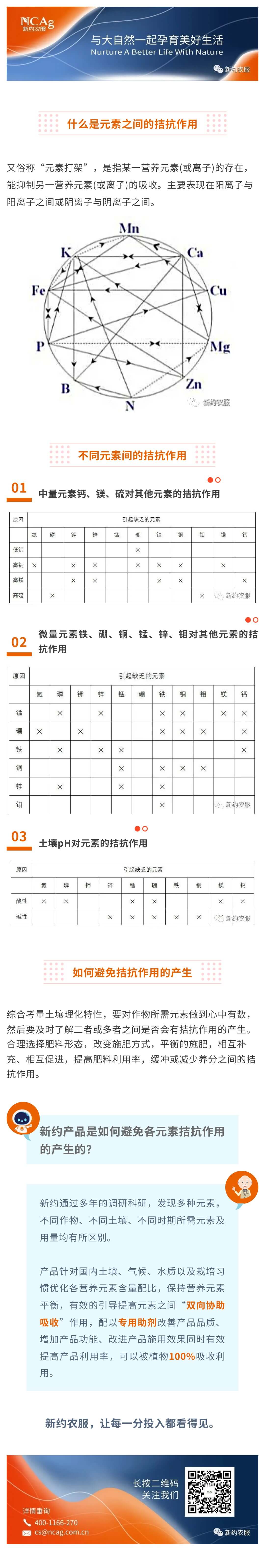 元素間拮抗作用.jpg