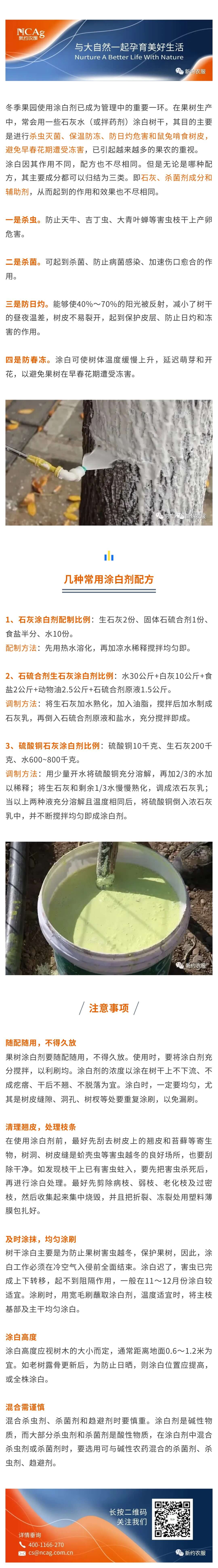 【智·農(nóng)】果樹冬天涂白，這些配方可選.jpg